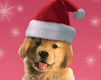 /album/fotogaleria-inicio/a3128027s-1-png/